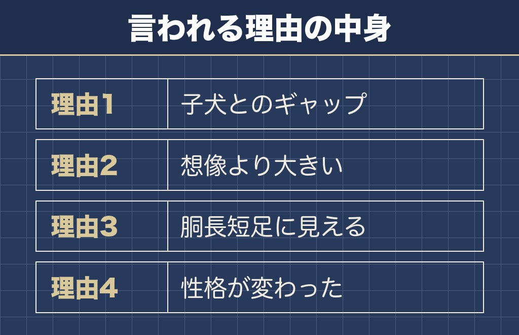 マルプーが大人になると可愛くないと言われる4つの理由