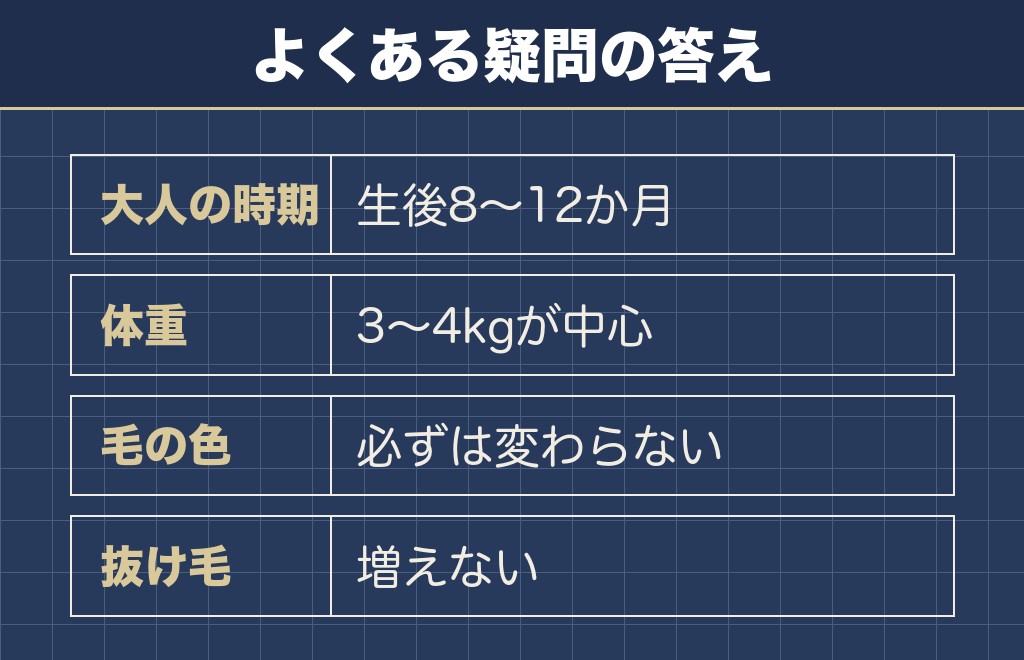 マルプーの大人に関するQ&A