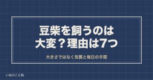 豆柴を飼うのは大変？後悔しやすい7つの理由と欠点や向く人も
