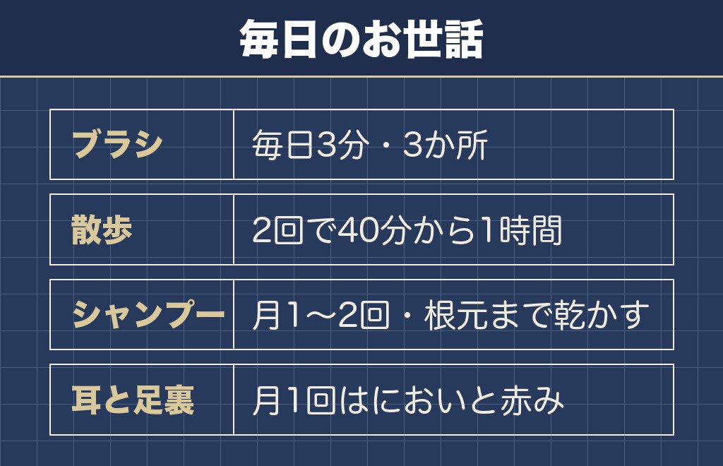 豆柴の毎日のお世話でかかる手間