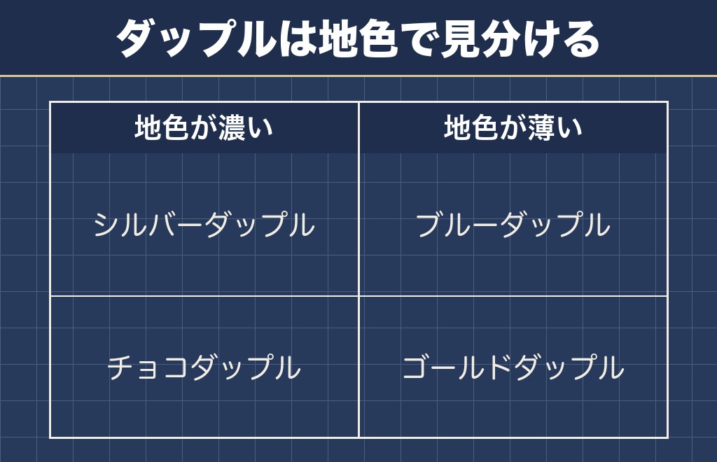 シルバーダップルと他のダップルの違いを表で比べました