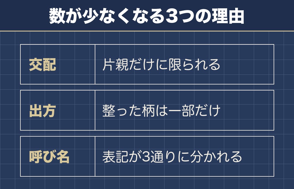 シルバーダップルが珍しいと言われる理由は3つあります