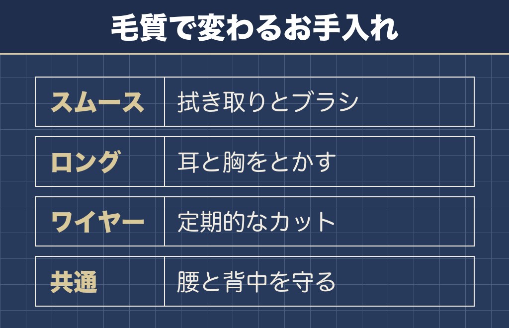シルバーダップルの性格の傾向とお手入れで気をつけるところ