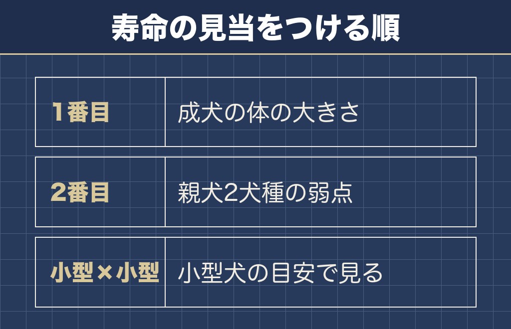 ミックス犬の寿命が短いと言われる話の実際
