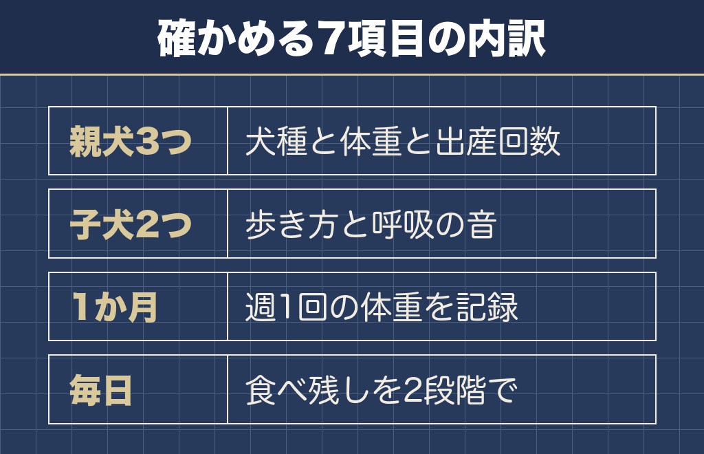 ミックス犬を迎える前に確かめる観察ポイント7つ