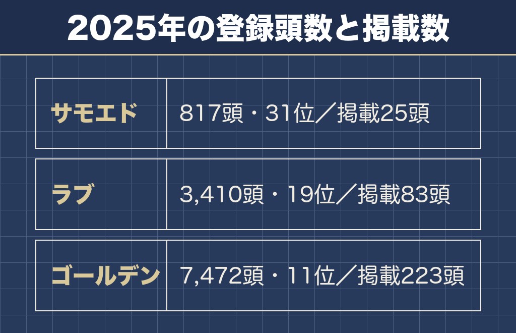 サモエドは日本では出会いにくく飼いやすさの情報も少ない