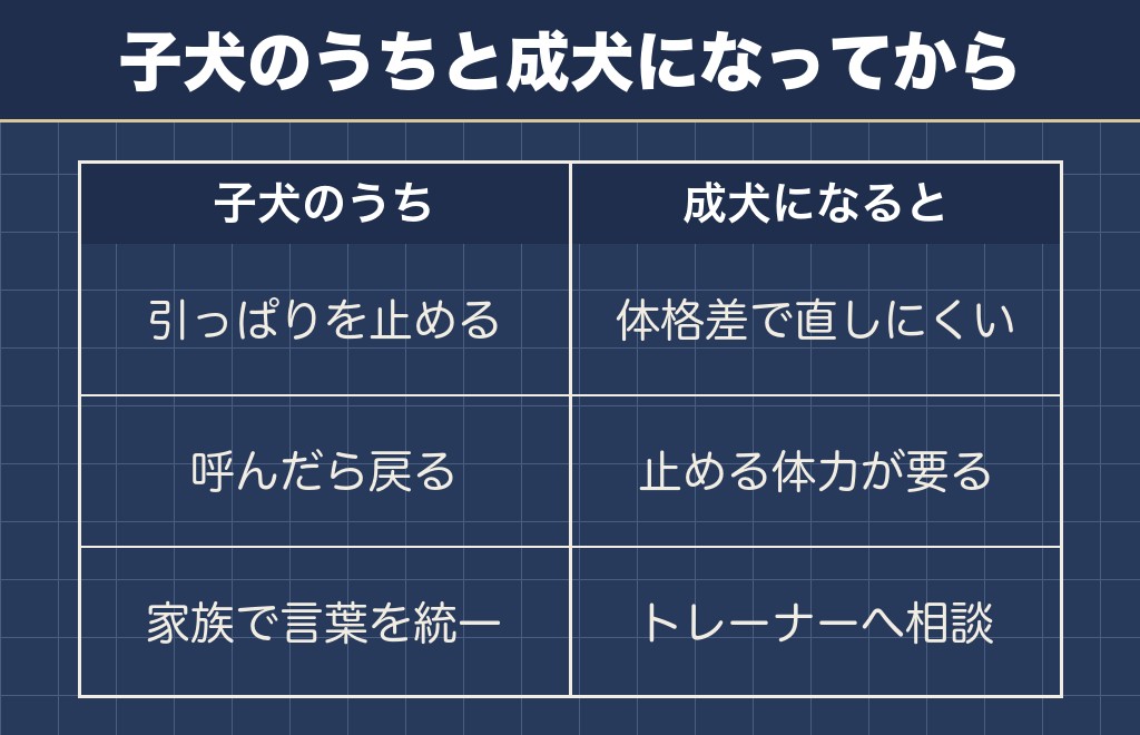 サモエドのしつけは力の強さを前提に組み立てる