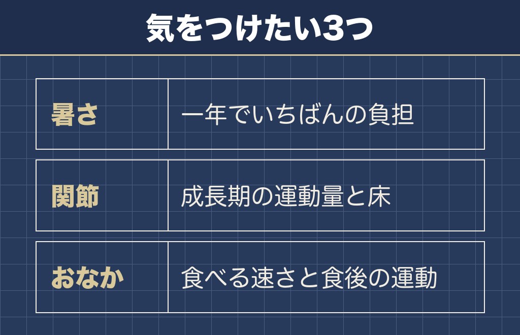 サモエドの飼いやすさを下げる健康面の注意点