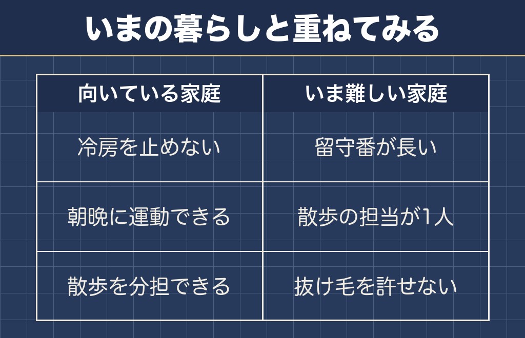 サモエドが向いている家庭と、いま難しい家庭