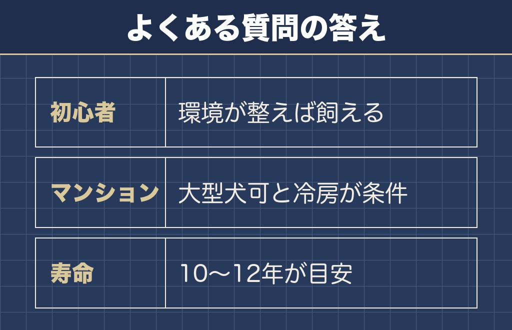 サモエドの飼いやすさに関するQ&A