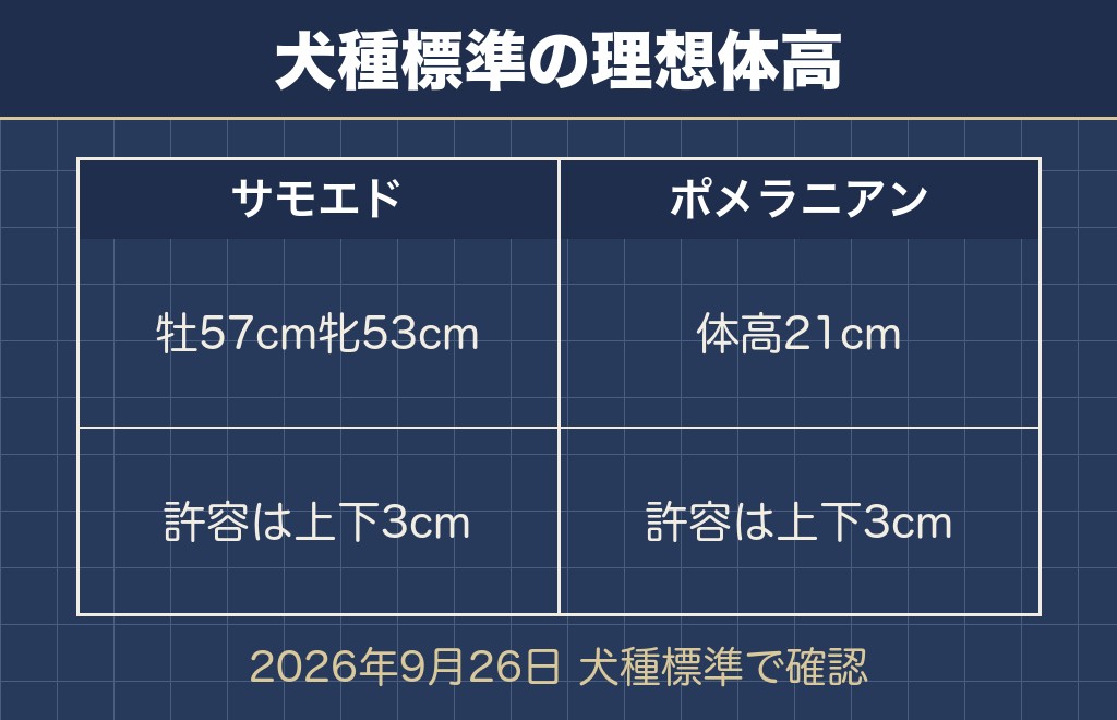 サモエドとポメラニアンの違いは体高57cmと21cm