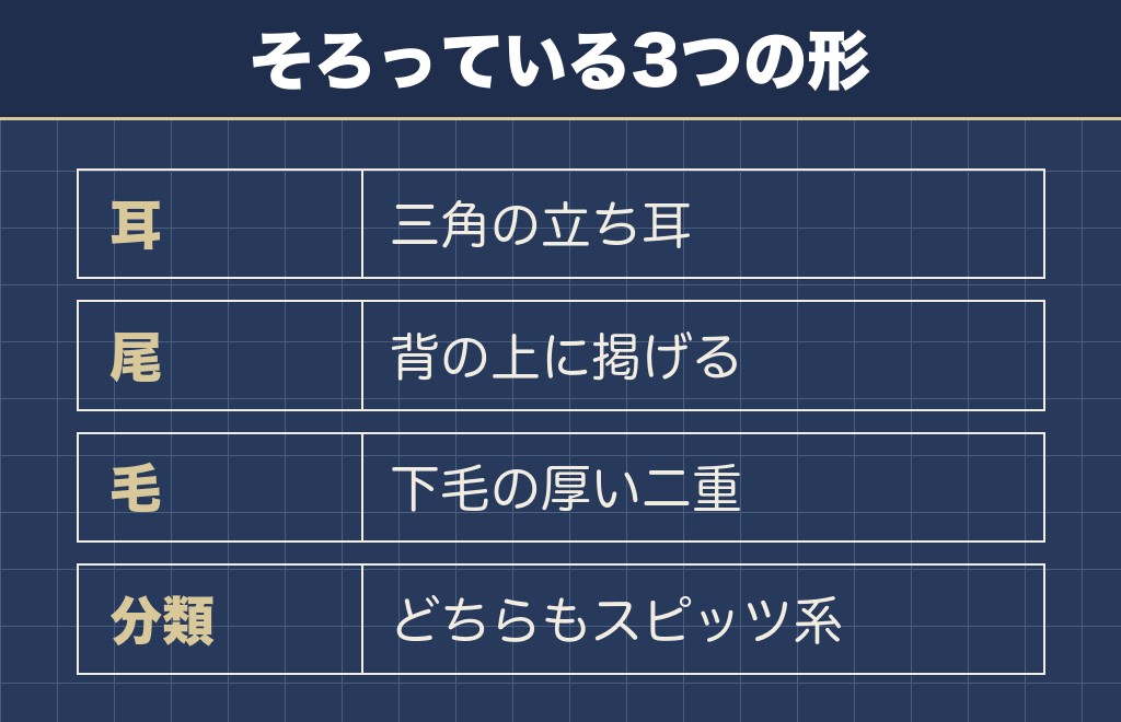 サモエドとポメラニアンが似てると言われる理由