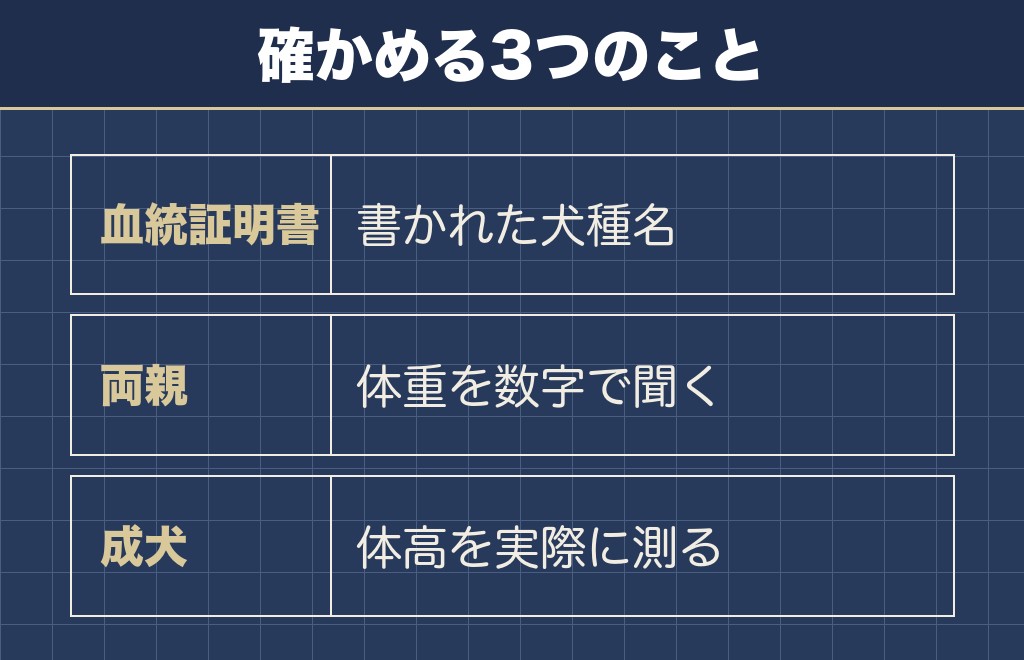 ポメラニアンの先祖返りでサモエドと間違われることがある