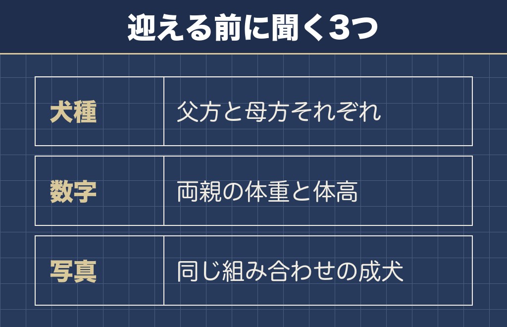 サモエドとポメラニアンのミックス犬は大きさが読みにくい
