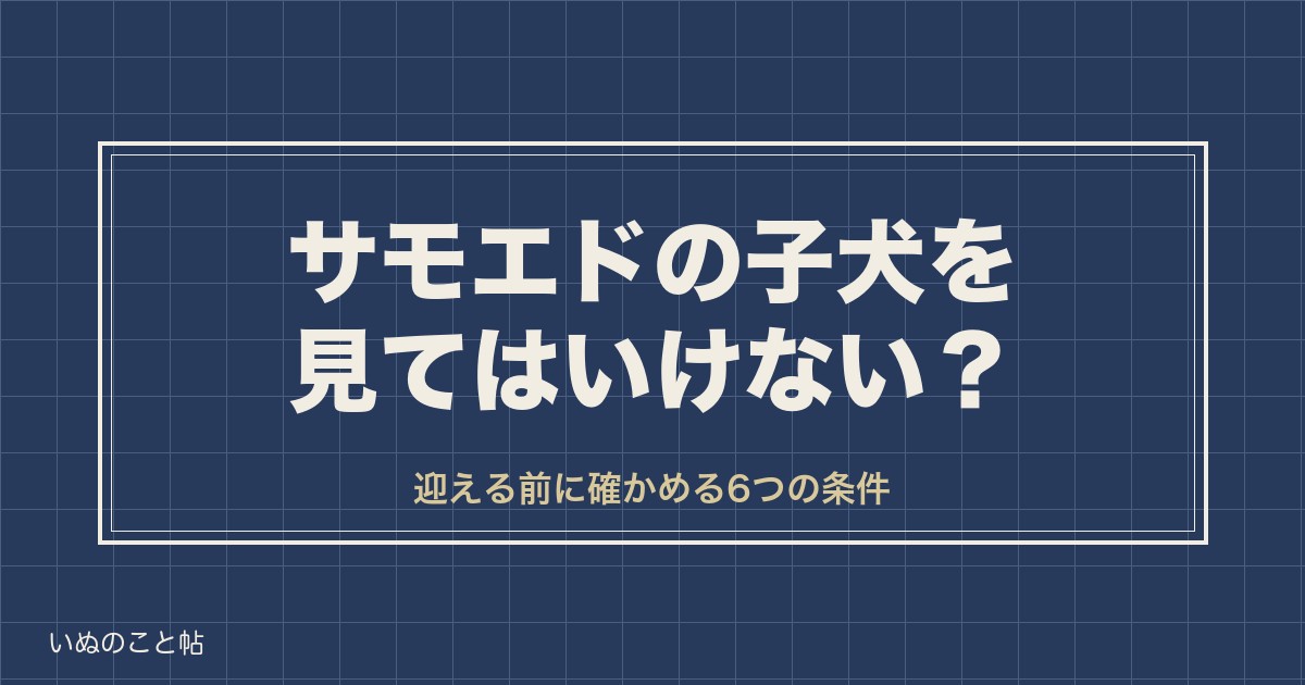 サモエドの子犬を見てはいけないのはなぜ？値段や飼育の大変さも