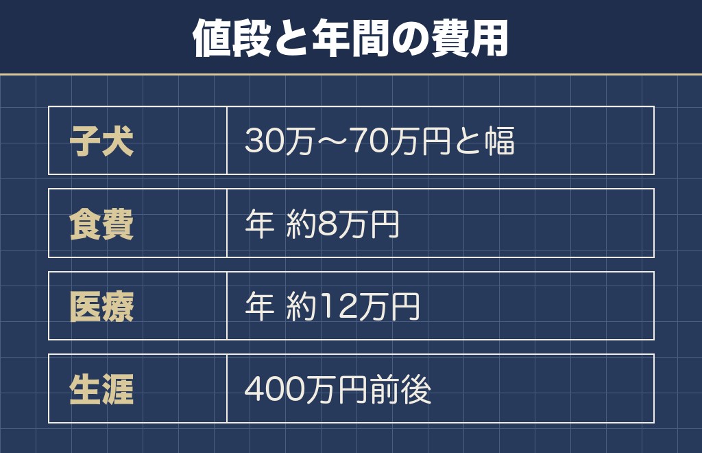 サモエドの子犬の値段は50万円前後が中心で、迎えた後の費用も続きます