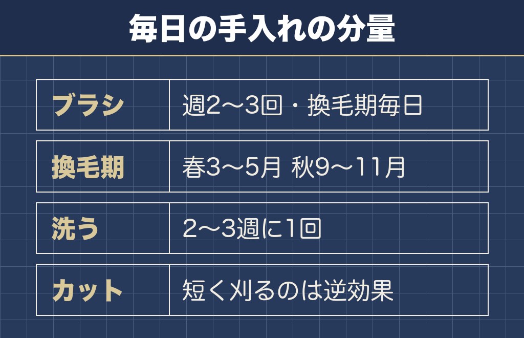 サモエドの抜け毛と暑さ対策は毎日の作業になります