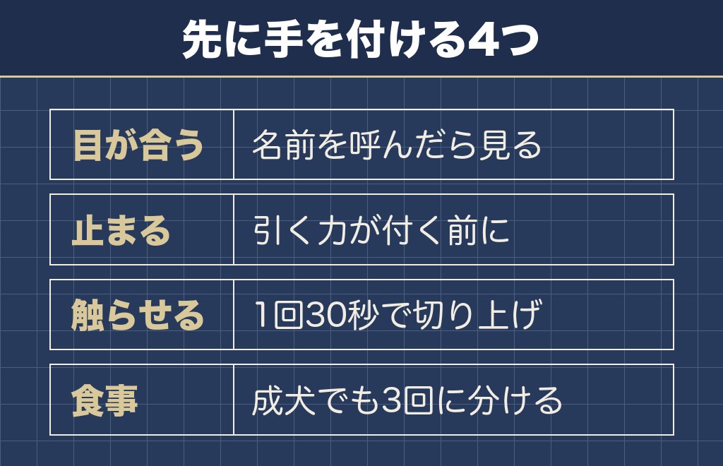 サモエドのしつけは合図の練習と食事の管理が中心になります