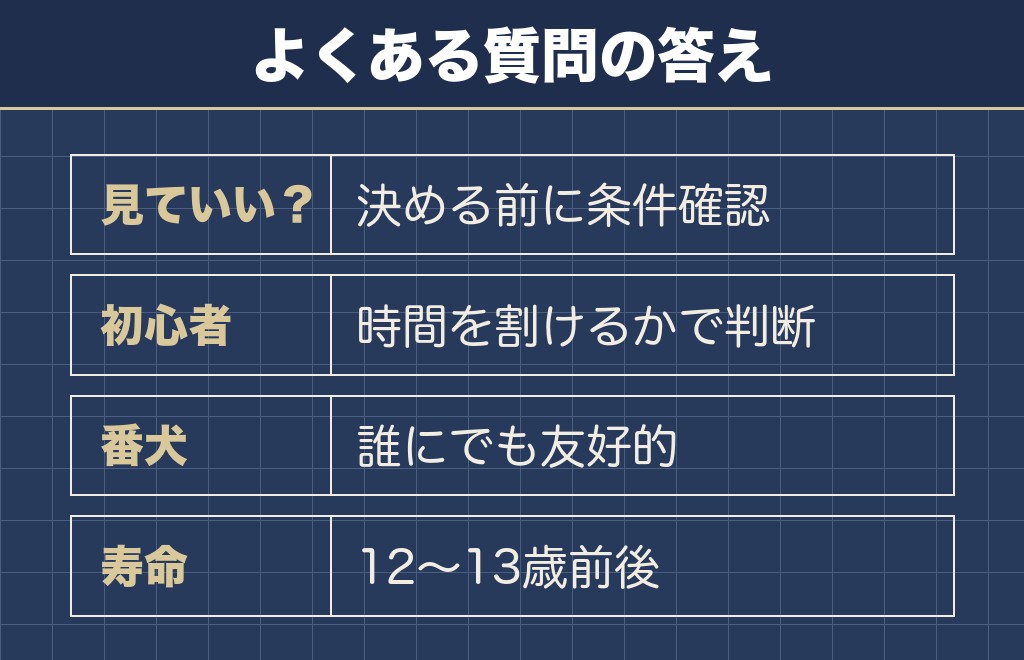 サモエドの子犬を見てはいけないと迷う人のQ&A