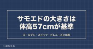 サモエドの大きさは体高57cm｜ゴールデンレトリバーとの比較も