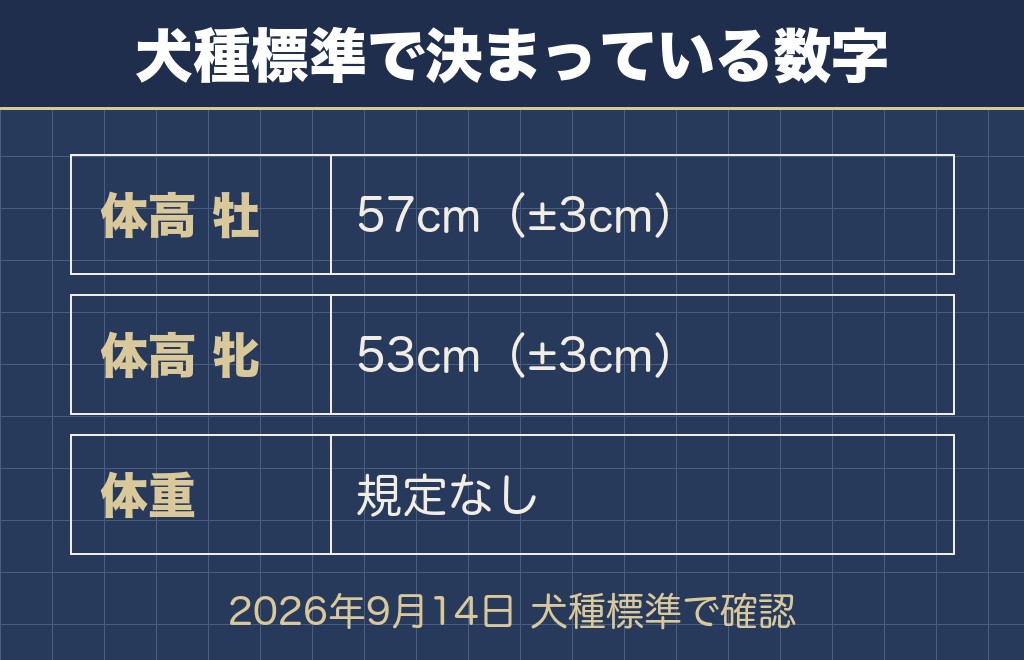 サモエドの大きさは牡57cm・牝53cmが基準で体重の規定はない