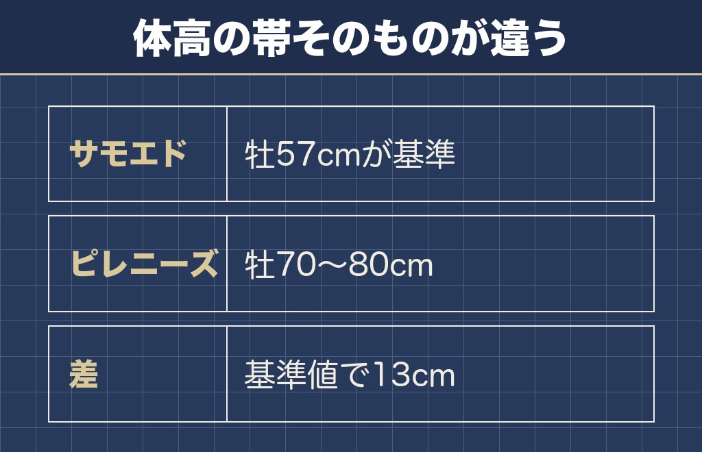 サモエドとグレート・ピレニーズの大きさは13cm以上違う