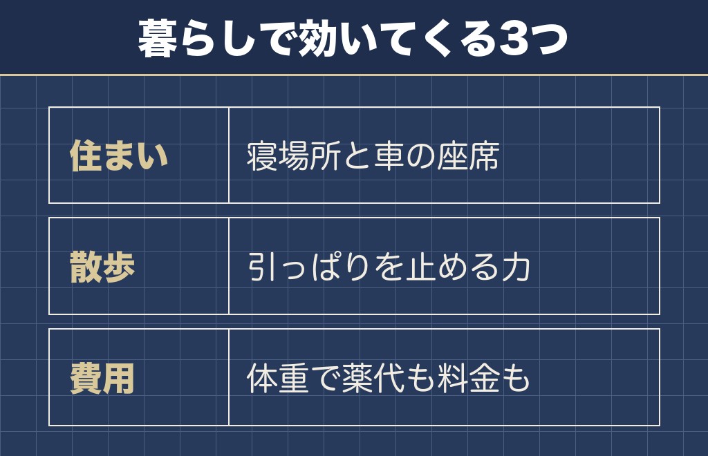 サモエドの大きさが暮らしに出てくる場面