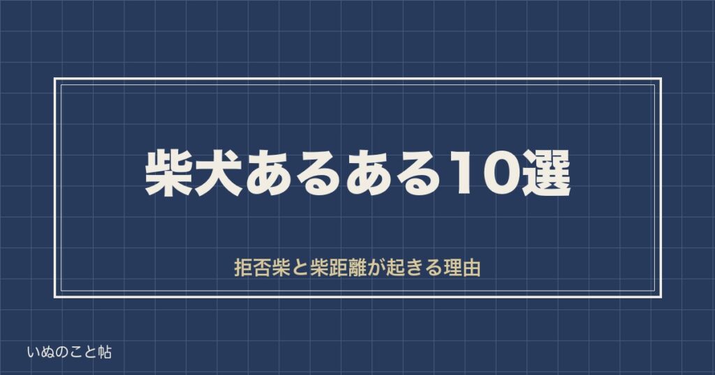 柴犬あるある10選｜拒否柴や柴距離が起きる理由と性格の背景も