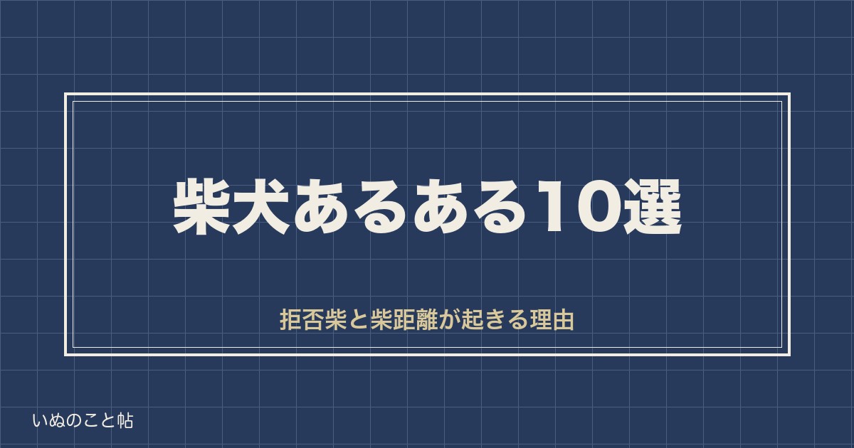 柴犬あるある10選|拒否柴や柴距離が起きる理由と性格の背景も