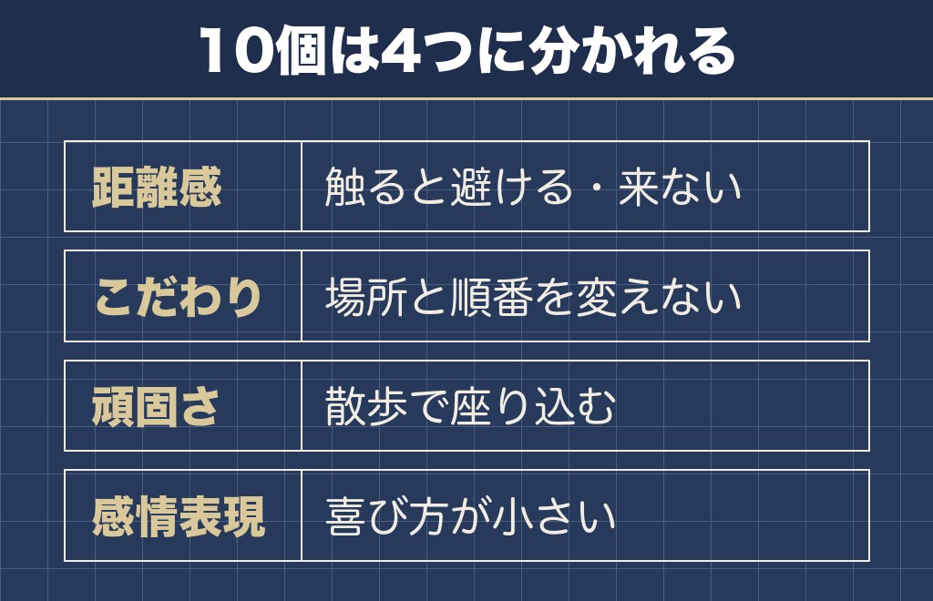 柴犬あるある10選は距離感と頑固さに集まっています