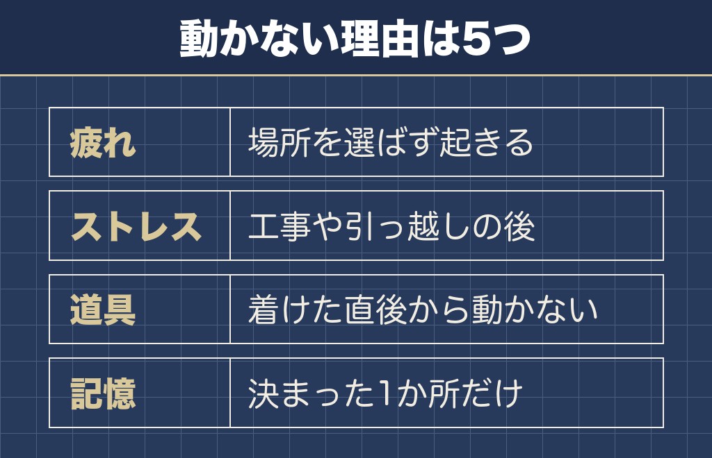 散歩の柴犬あるあるで一番多いのは拒否柴です