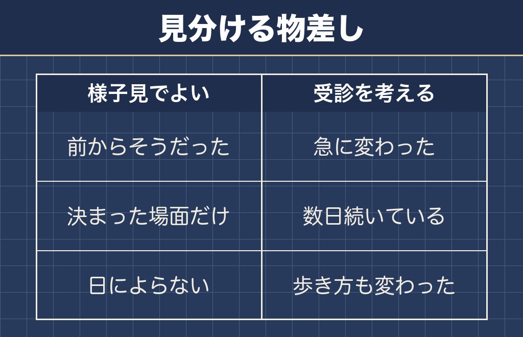 柴犬あるあるには様子見でよいものと受診したほうがよいものがあります