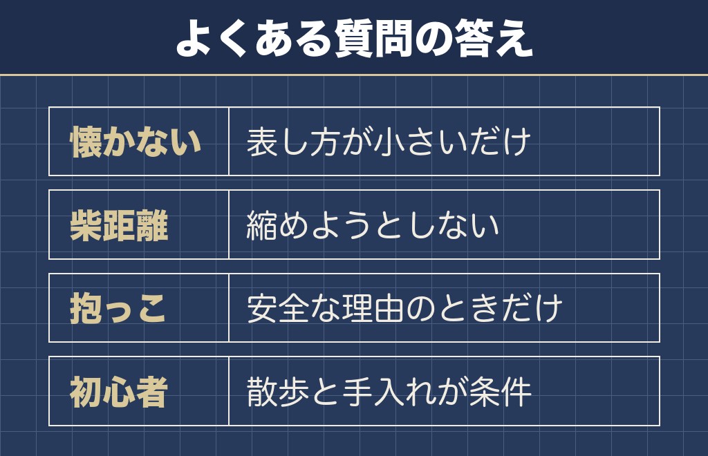 柴犬あるあるに関するQ&A