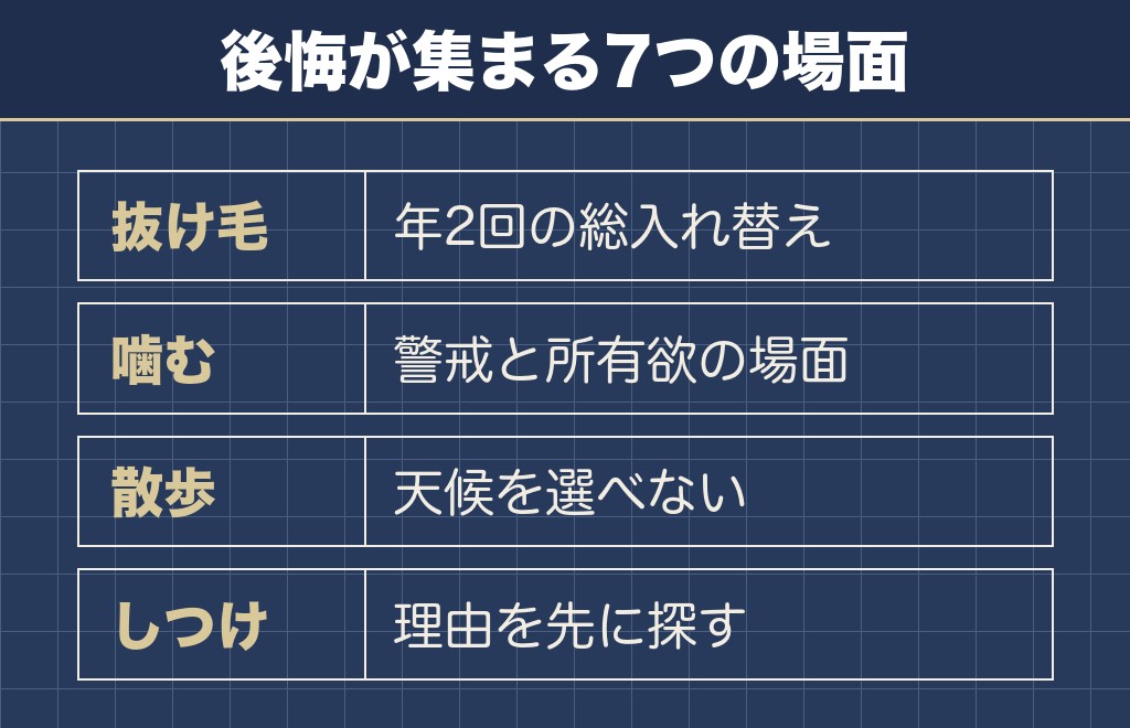 柴犬を飼うんじゃなかったと思う場面は7つに整理できる