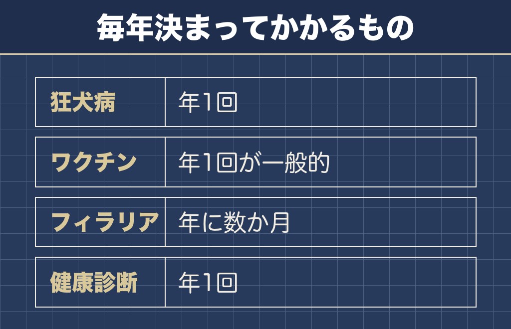 柴犬を飼うとかかるお金と時間の実際