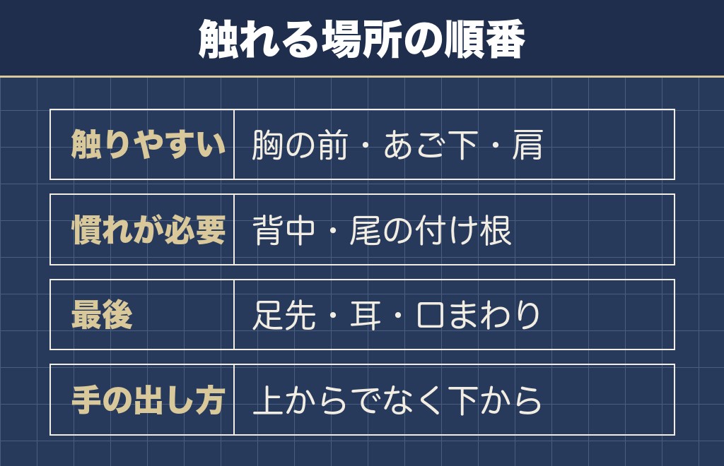 柴犬は触られるのを好まない子が多い
