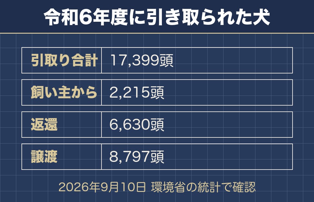 柴犬を手放したいと思ったときに決まっていること