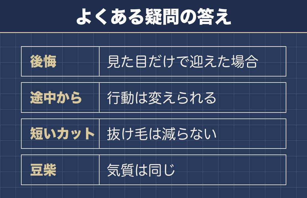 柴犬を飼うんじゃなかったに関するQ&A