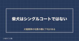 柴犬はシングルコートではない｜ダブルコートの見分け方と換毛期