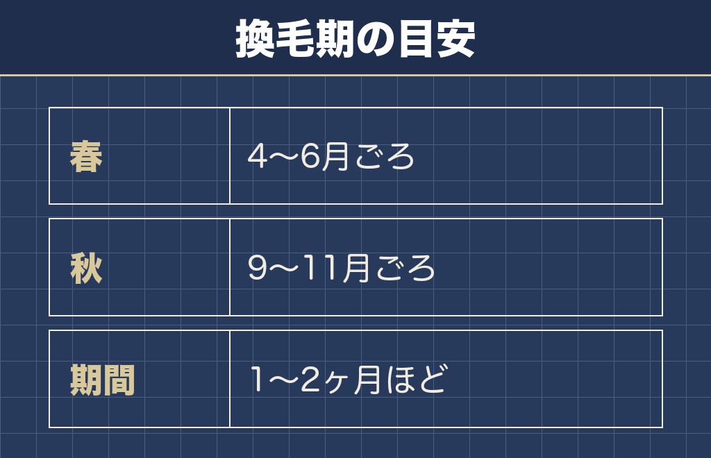 柴犬の換毛期は年2回で下毛が抜ける