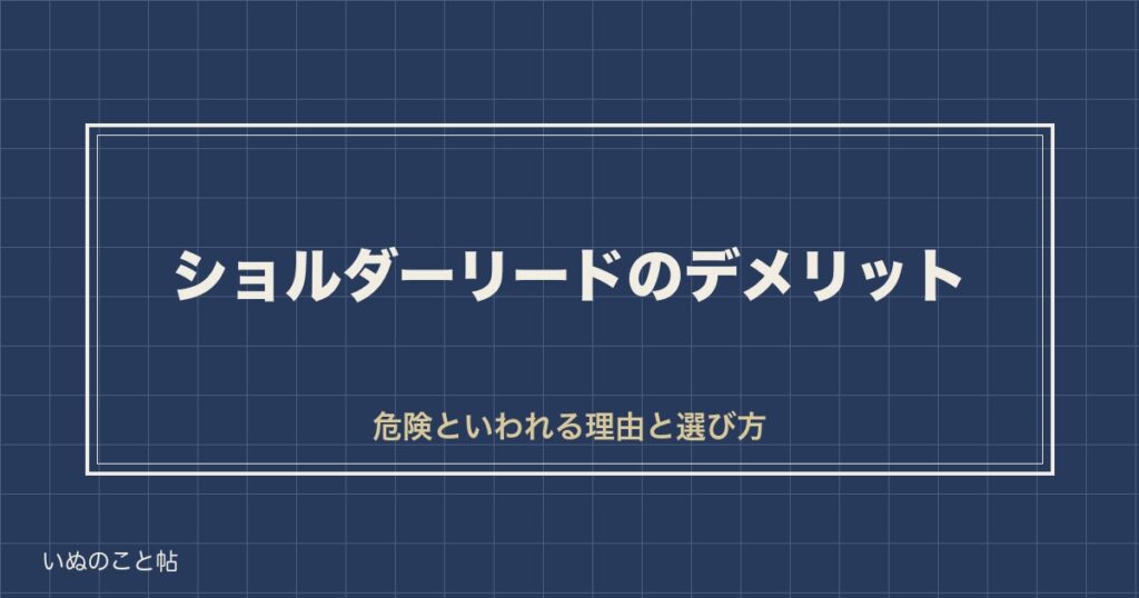 ショルダーリードのデメリット5つ｜危険といわれる理由と選び方も