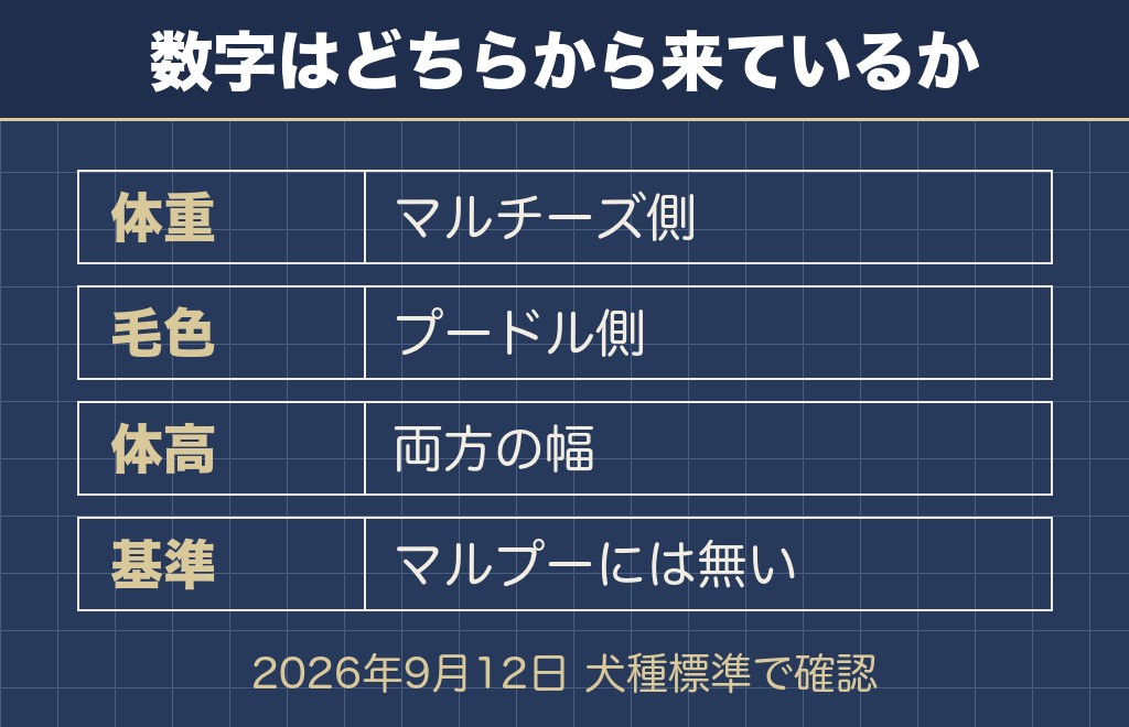 マルプーの特徴は親犬2犬種の受け継ぎ方で決まる