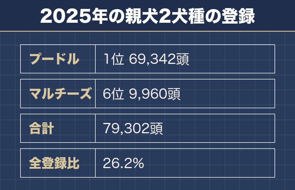 マルプーの値段と寿命の目安をどう読むか
