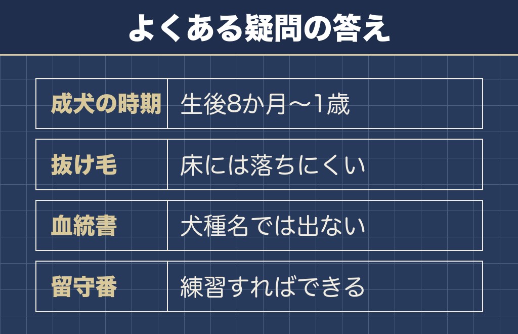 マルプーの特徴に関するQ&A