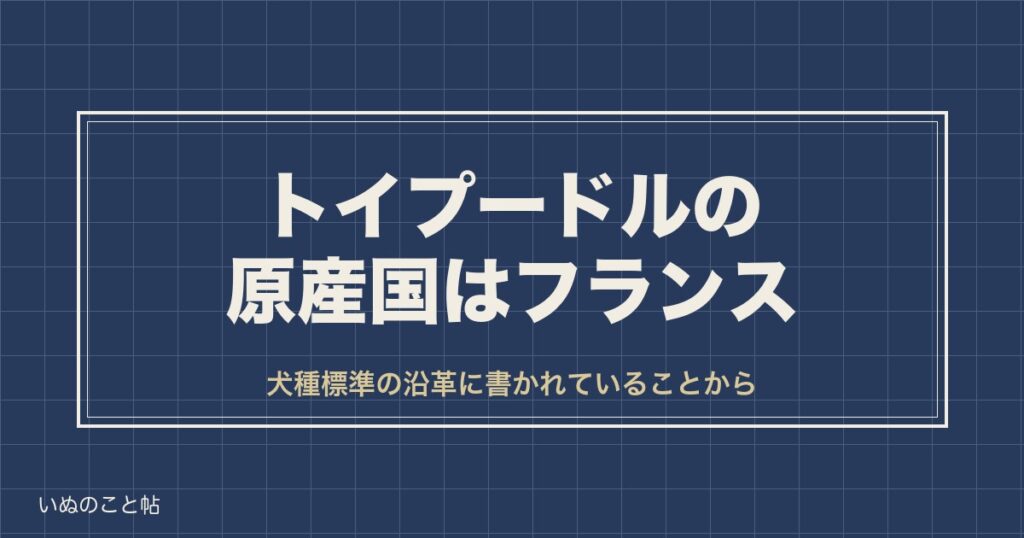 トイプードルの原産国はフランス｜名前の由来と祖先のバルベも