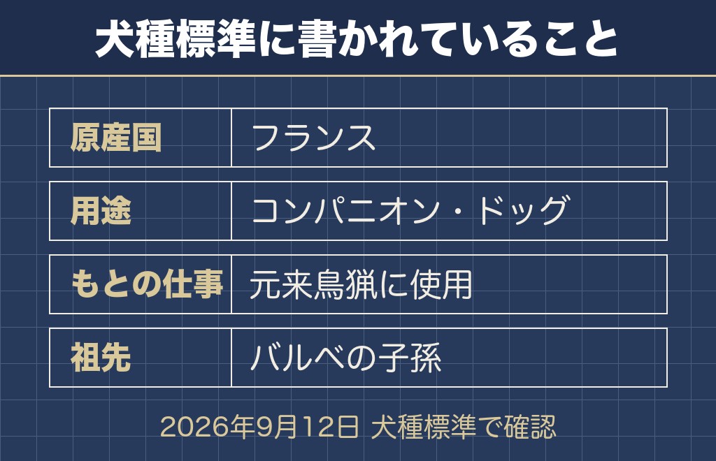 トイプードルの原産国はフランスと登録されている