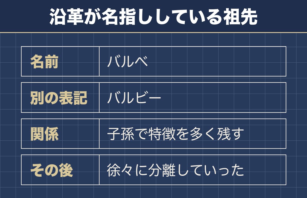 トイプードルの祖先はバルベという水辺の犬