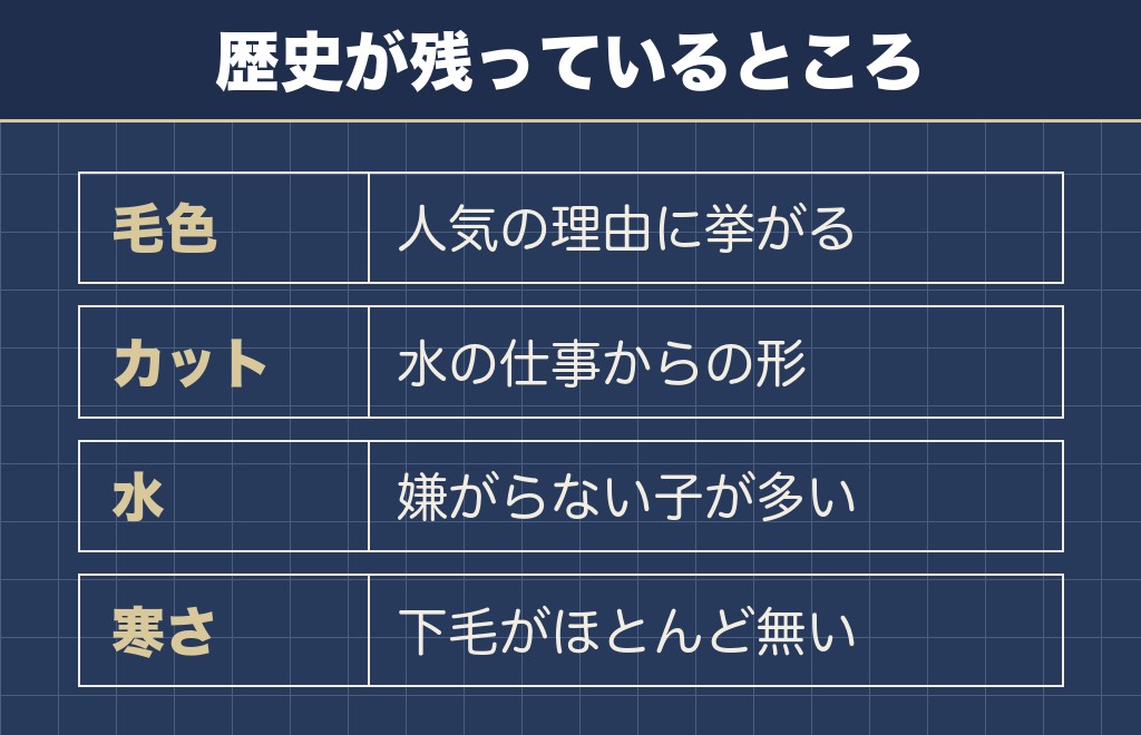 原産国の名残がトイプードルの今に残っている