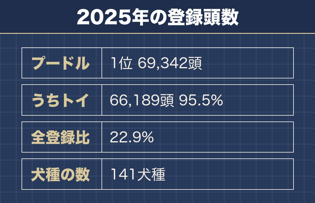 日本でトイプードルが広まった背景を数で見る