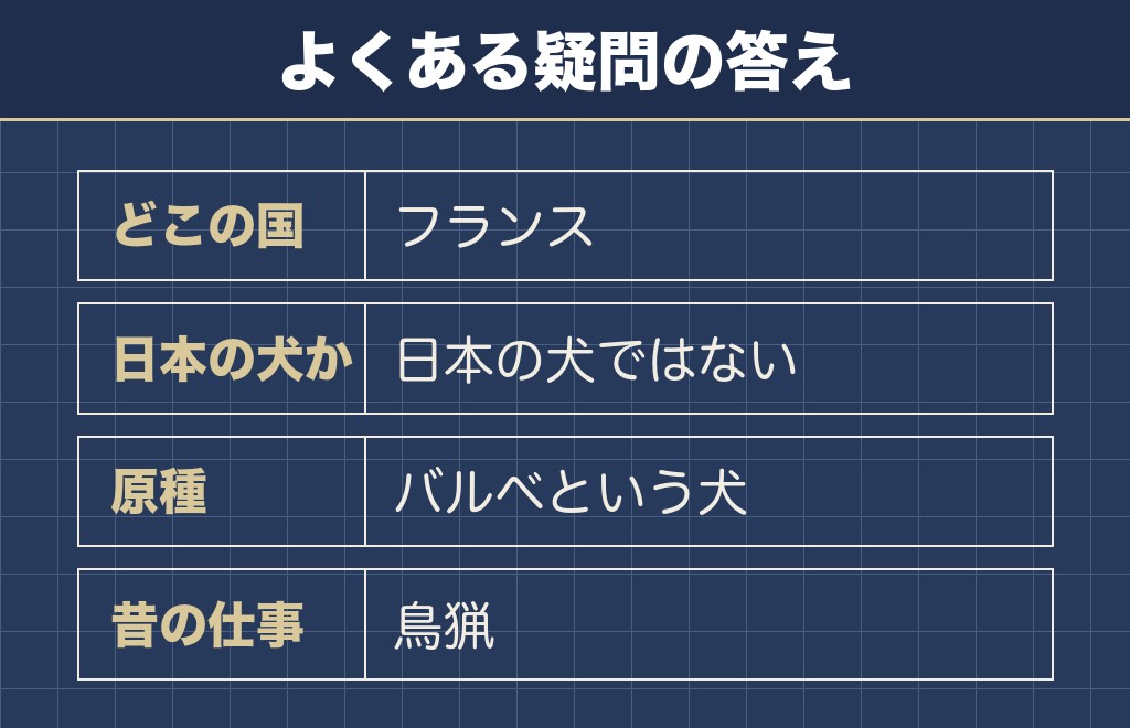 トイプードルの原産国に関するQ&A